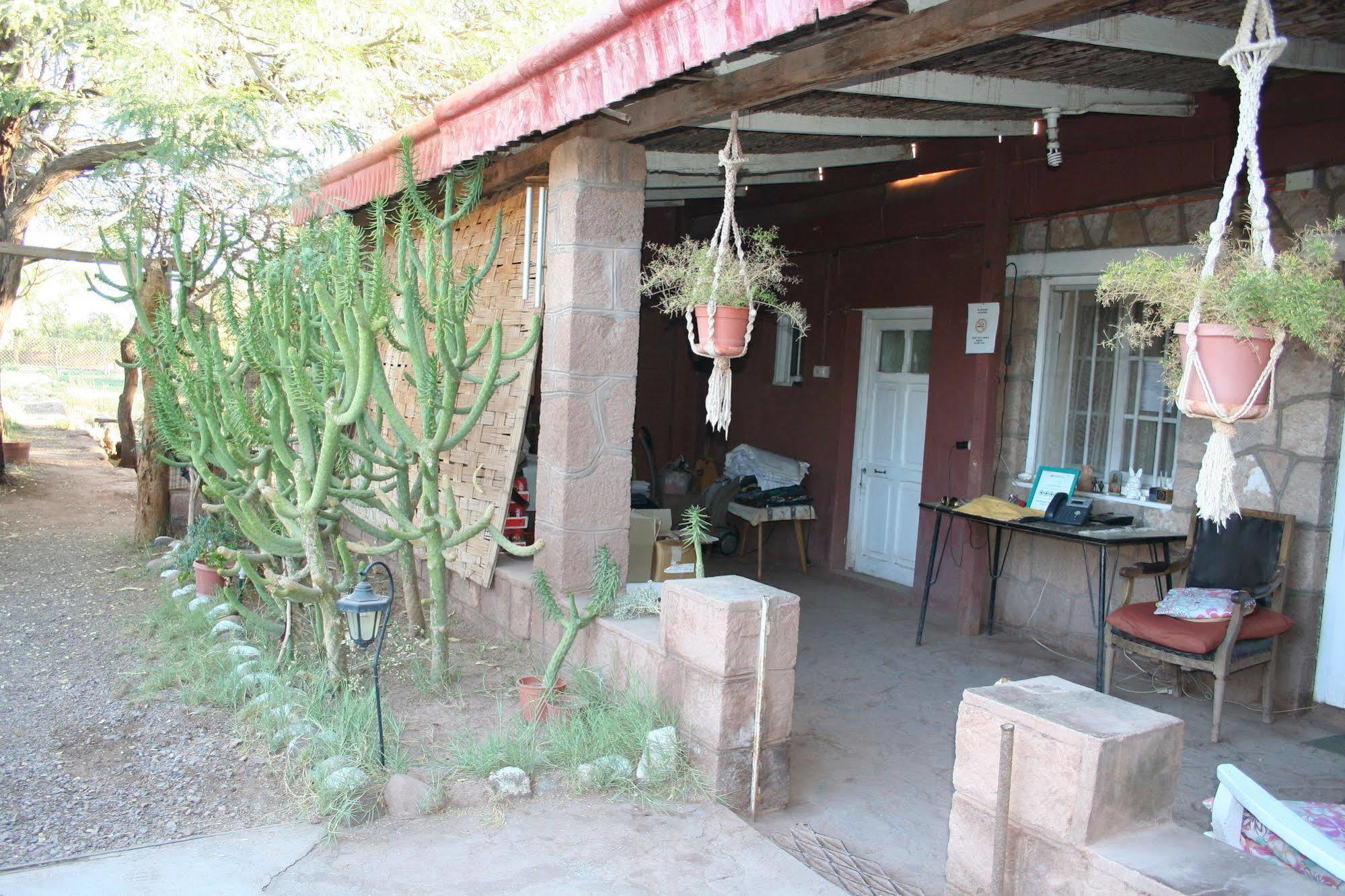 Quinta Adela Bed & Breakfast ซานเปโดร เด อาตากามา ภายนอก รูปภาพ